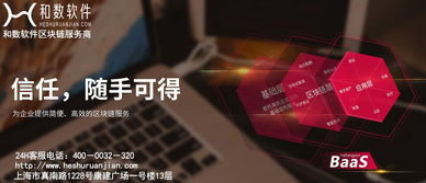 和數軟件 以區塊鏈技術重塑數字文創，構建信任與確權新生態